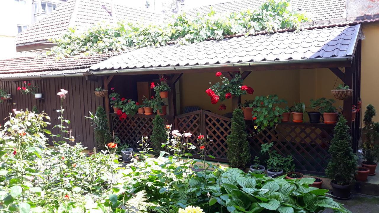 Villa Casa Ioana Brasov Ngoại thất bức ảnh