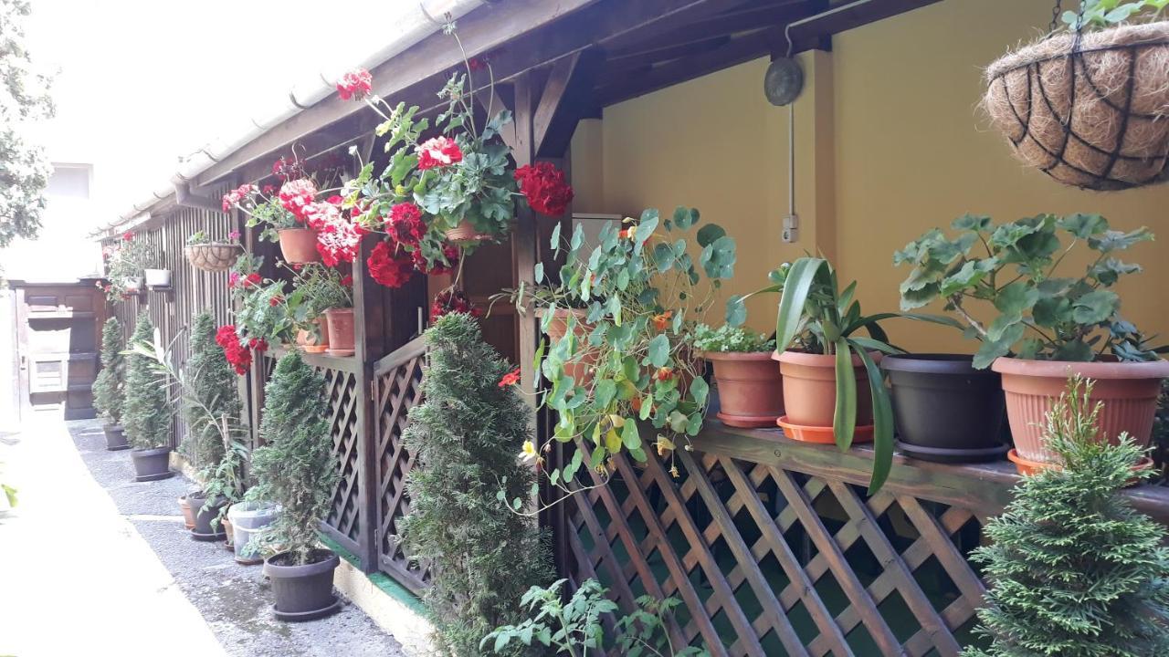 Villa Casa Ioana Brasov Ngoại thất bức ảnh