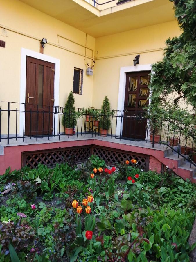 Villa Casa Ioana Brasov Ngoại thất bức ảnh